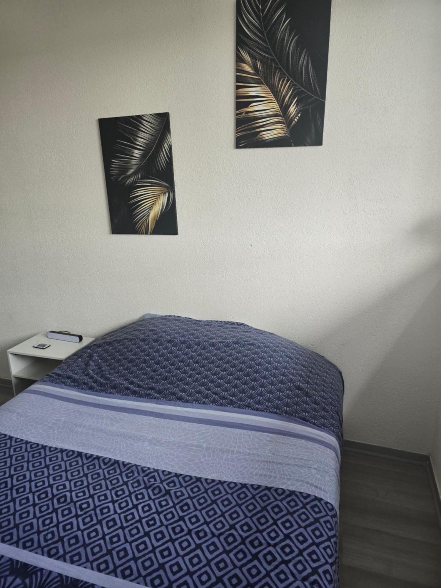 Cocon Wifi Netflix Parking Gratuit Apartment Belfort Luaran gambar